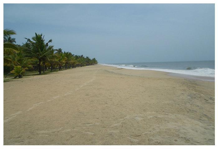 Marari Beach Paradise Mararikulam Zewnętrze zdjęcie